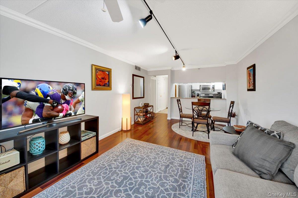 4 Martine Avenue 502