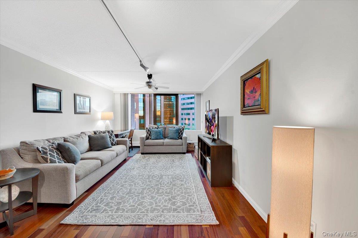 4 Martine Avenue 502