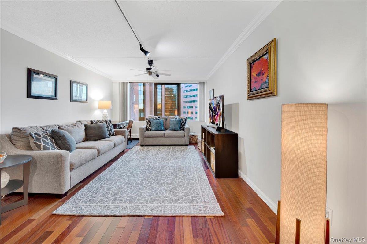 4 Martine Avenue 502