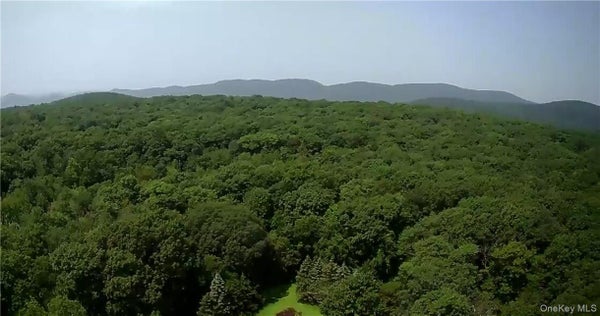 554 & 545 E MOUNTAIN ROAD N, COLD SPRING, NY 10516 - Image e33a1086c079040c3d0656d38c5ce486/4235508416