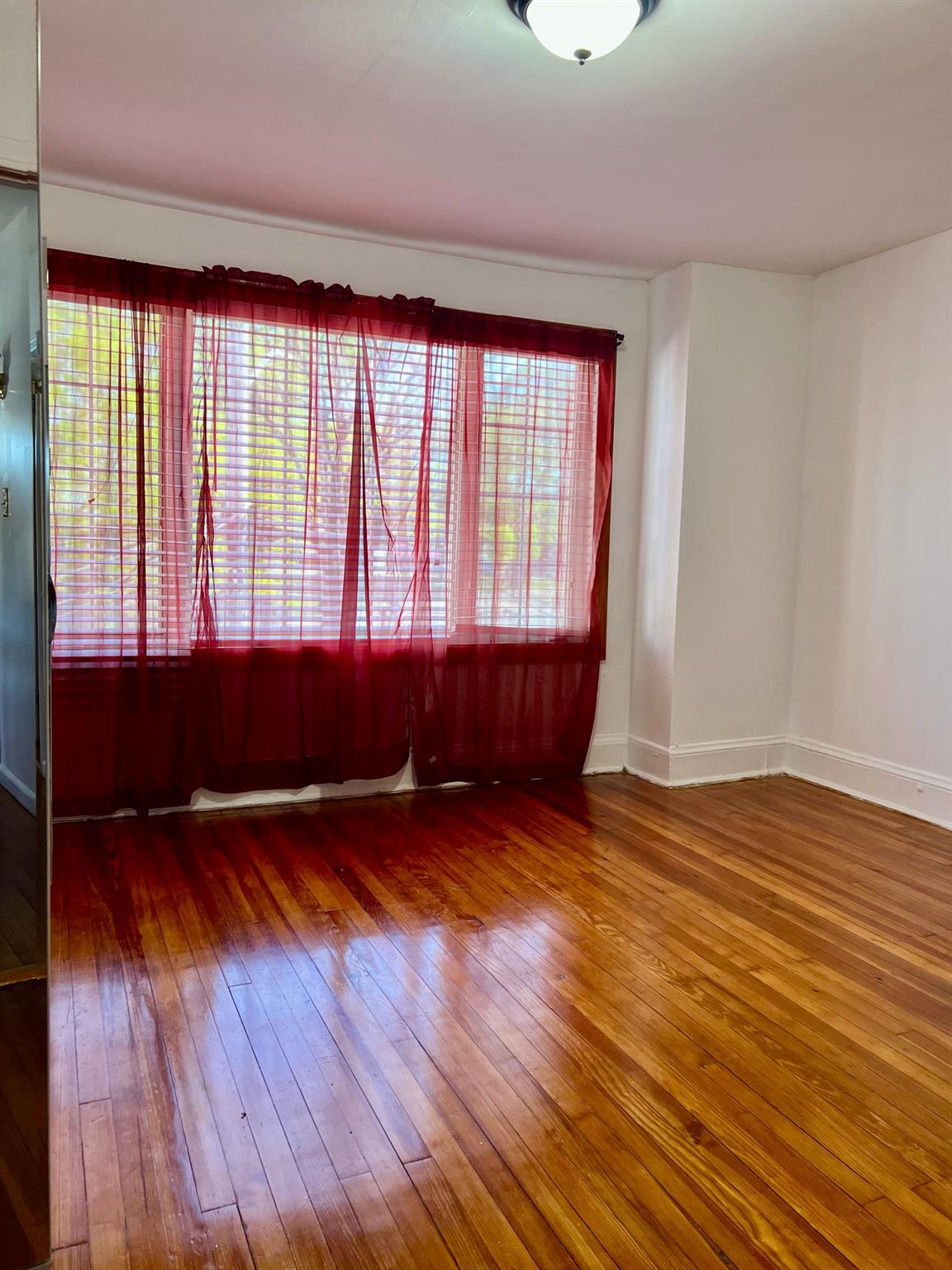 15207 125th Avenue, Jamaica, New York image 2