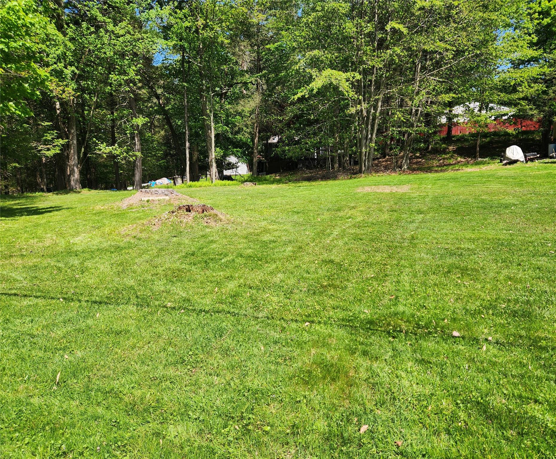 45 W Kenoza Place, Smallwood, New York image 3