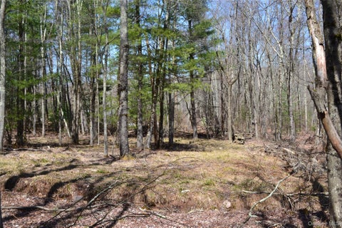 Vacant Land For Sale - Garden House Road<br/> Liberty, NY 12747