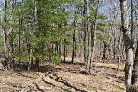 Vacant Land For Sale - Garden House Road<br/> Liberty, NY 12747