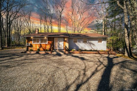 14 Essex Street Rock Hill NY 12775