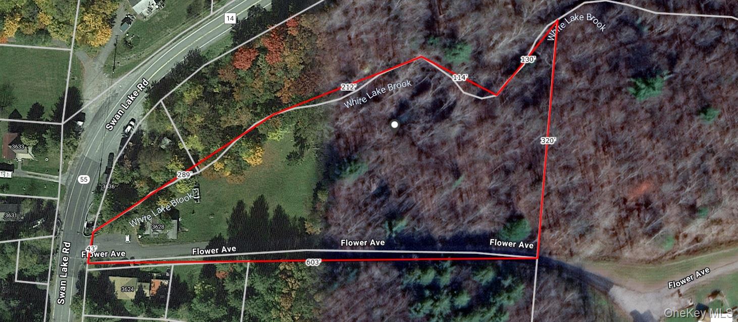 Flower Ave. & State Route 55