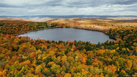 Vacant Land For Sale - LOT 10 Wood Lake Trail<br/> Roscoe, NY 12736