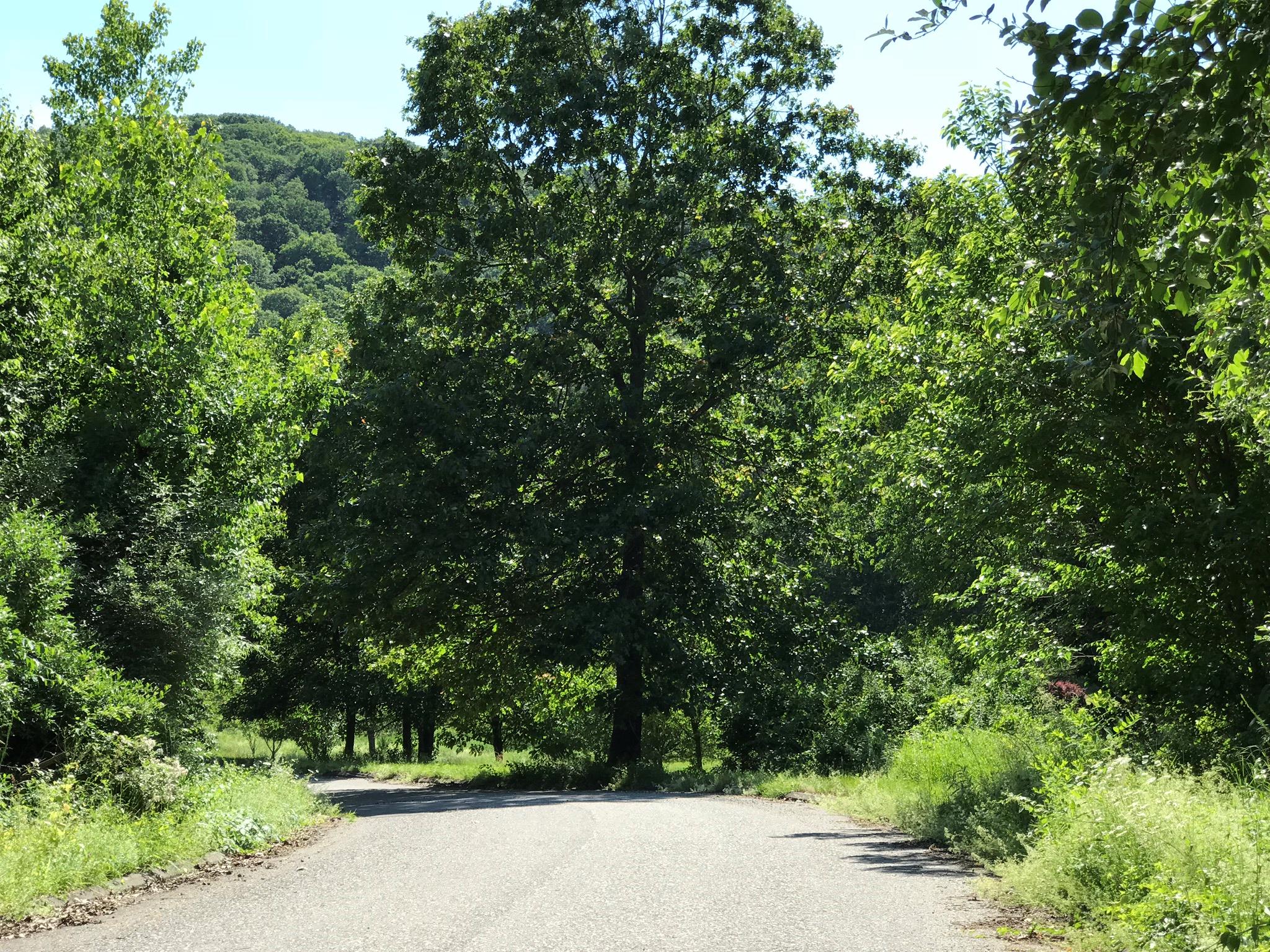 22 Valley View Farms Road, Pawling, New York image 4