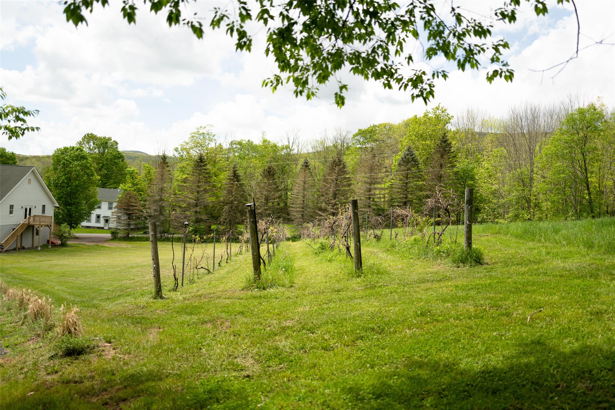 394 Macmore Road, Denver, New York image 10