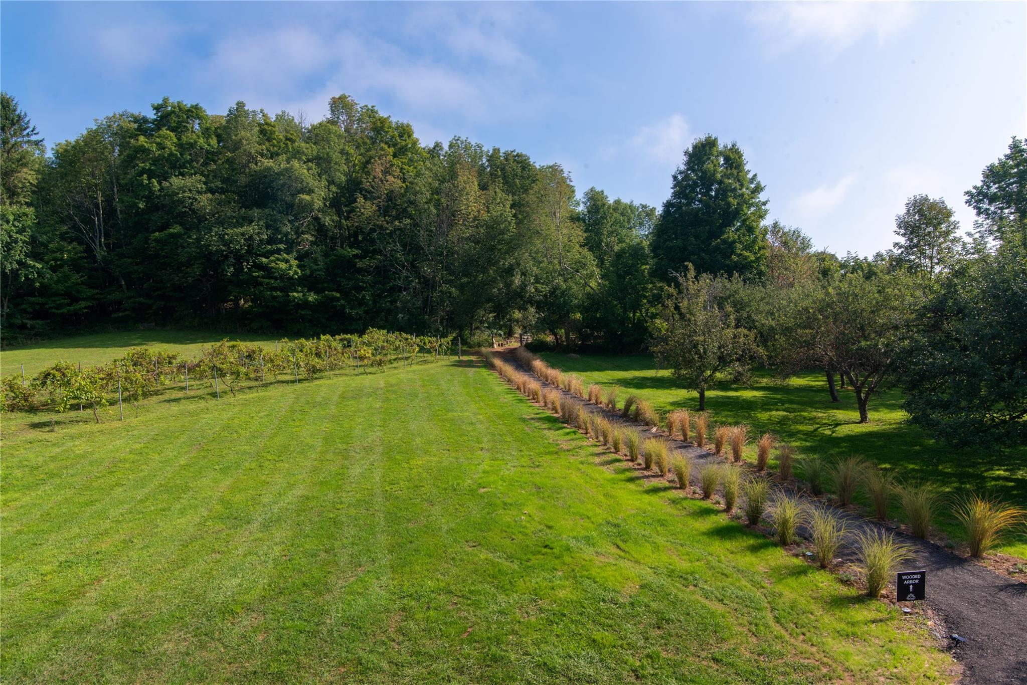 394 Macmore Road, Denver, New York image 5