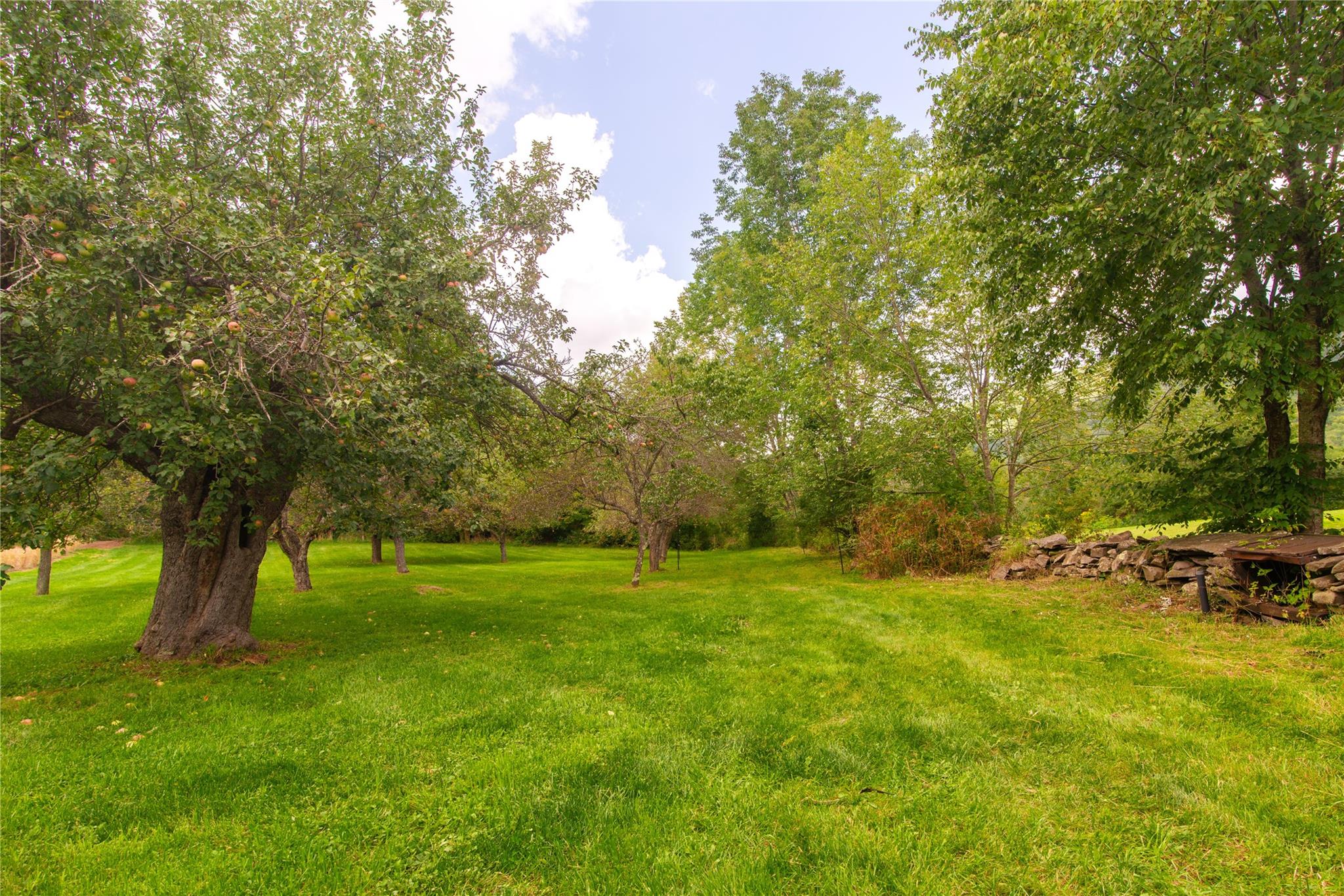 394 Macmore Road, Denver, New York image 9