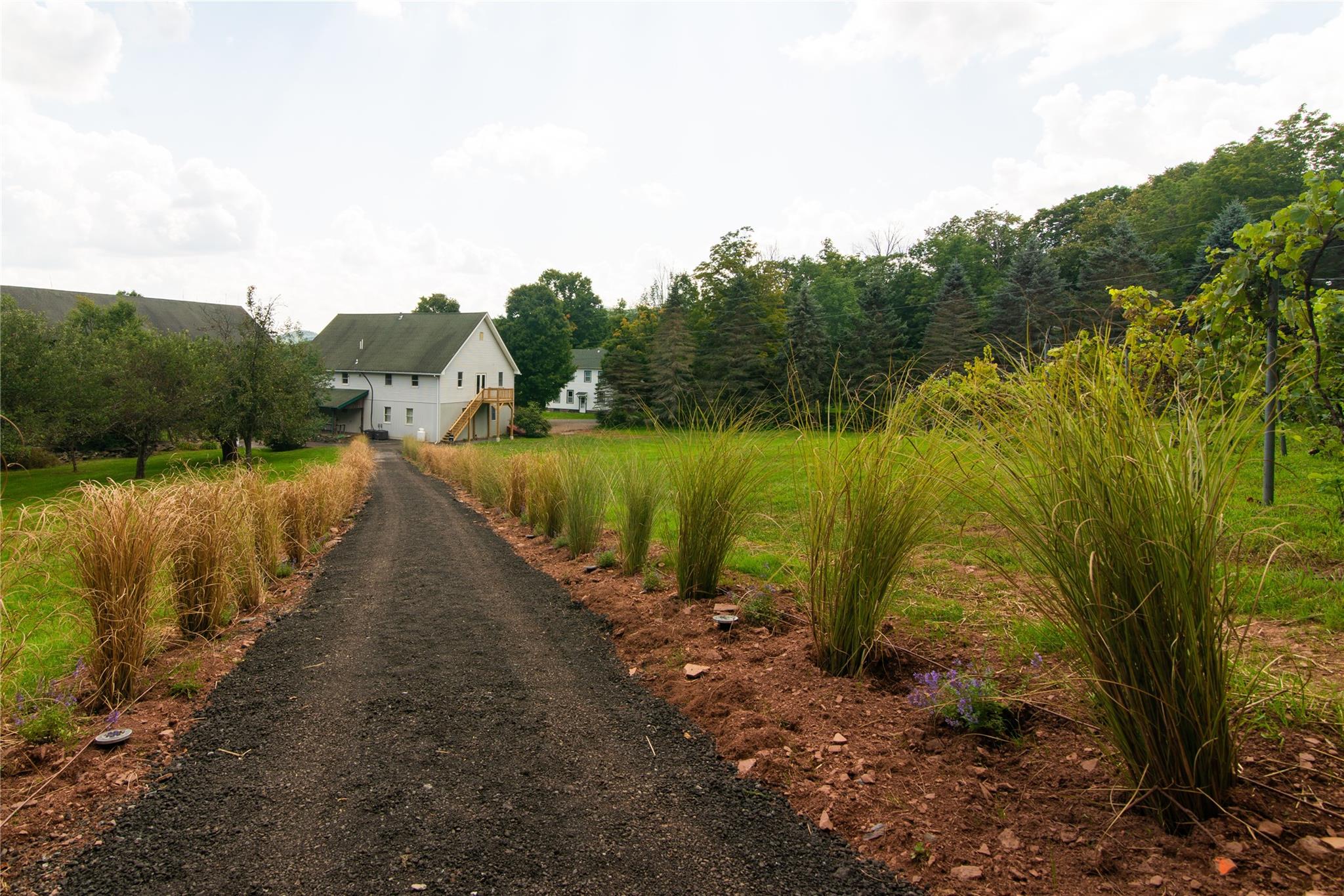 394 Macmore Road, Denver, New York image 6