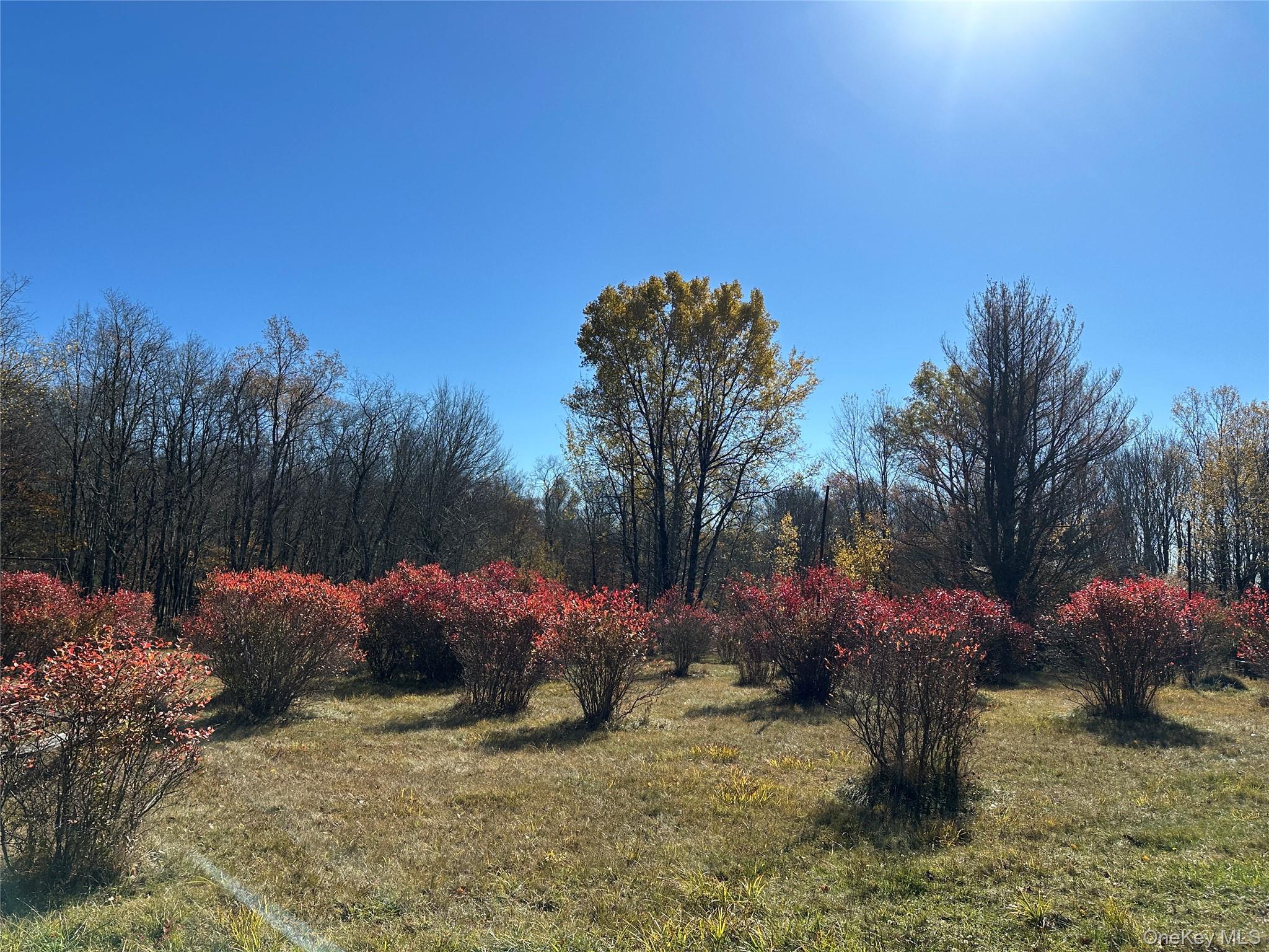 24 Mud Pond Road