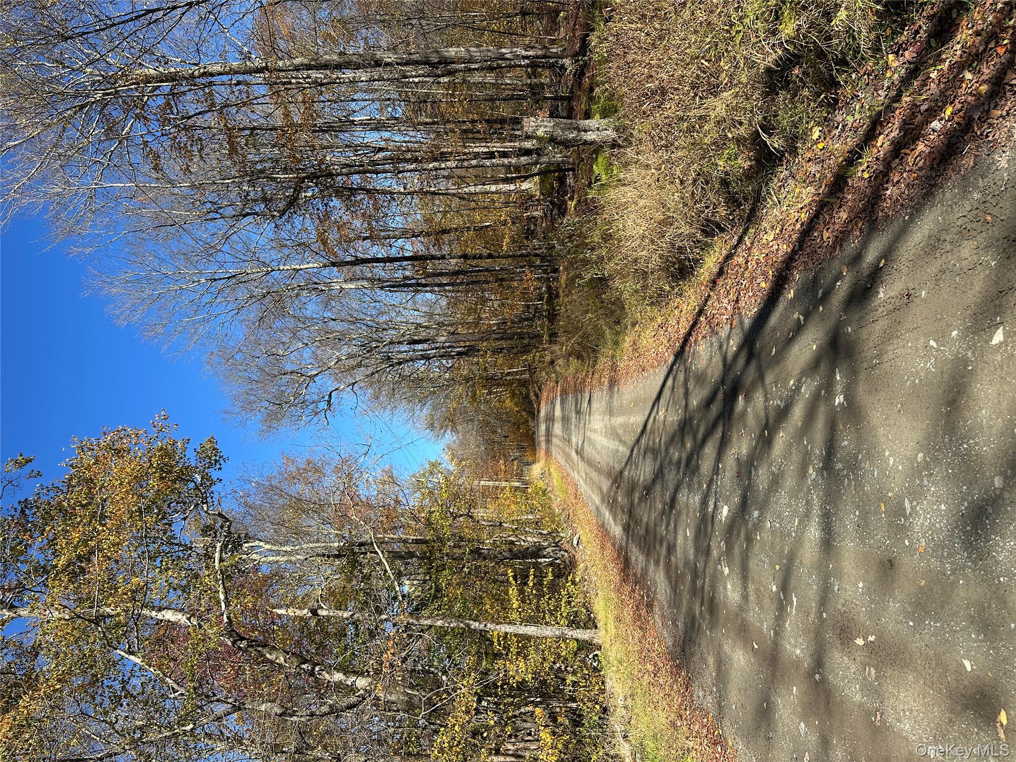 24 Mud Pond Road