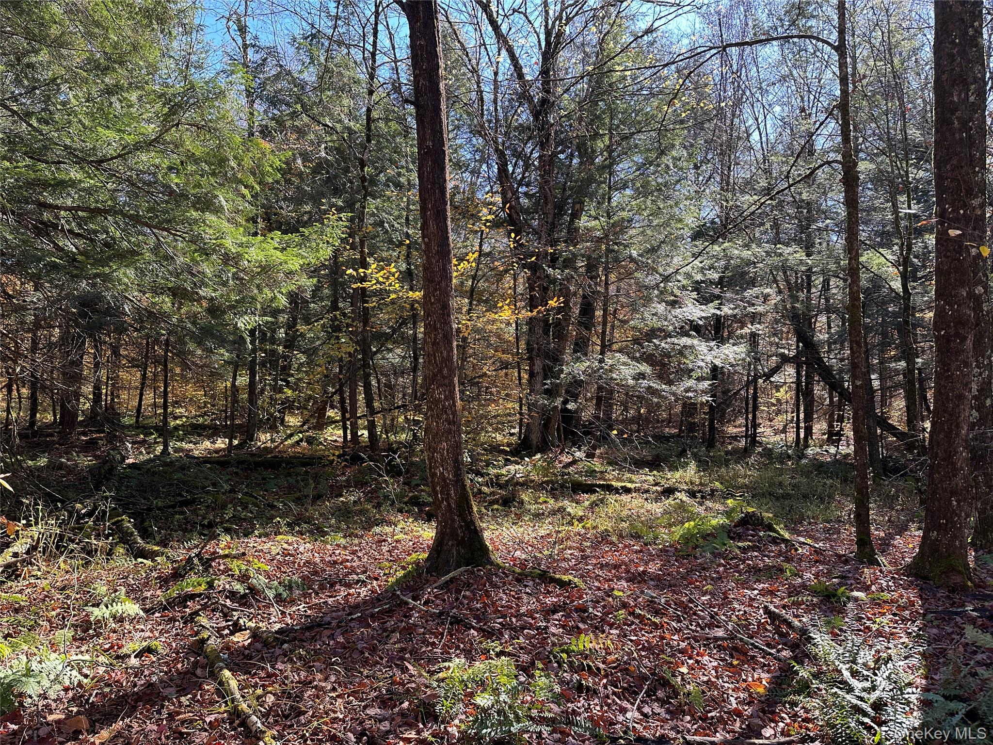 24 Mud Pond Road