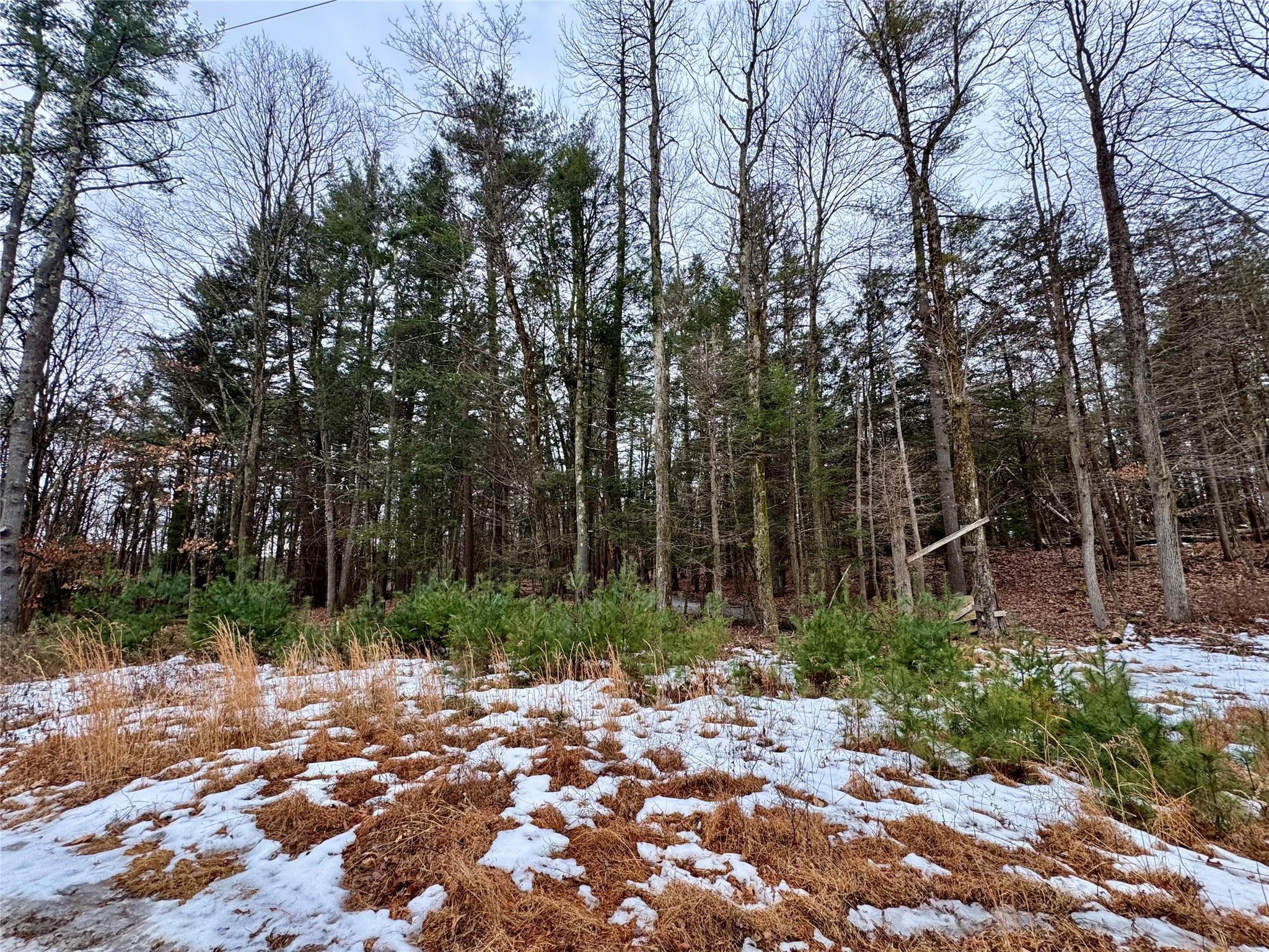 TBD Linderman Ave, Kingston, New York image 4
