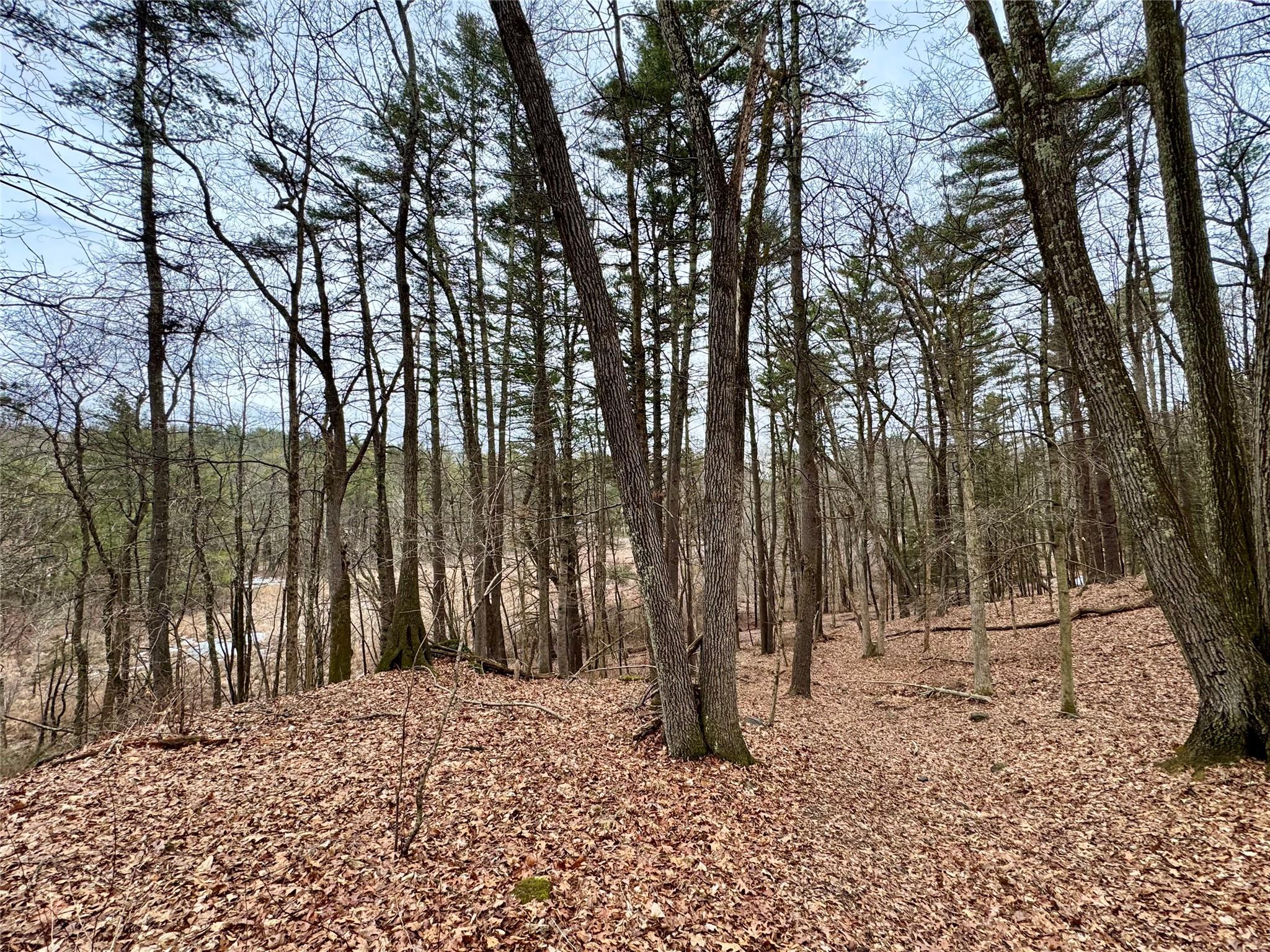 TBD Linderman Ave, Kingston, New York image 6