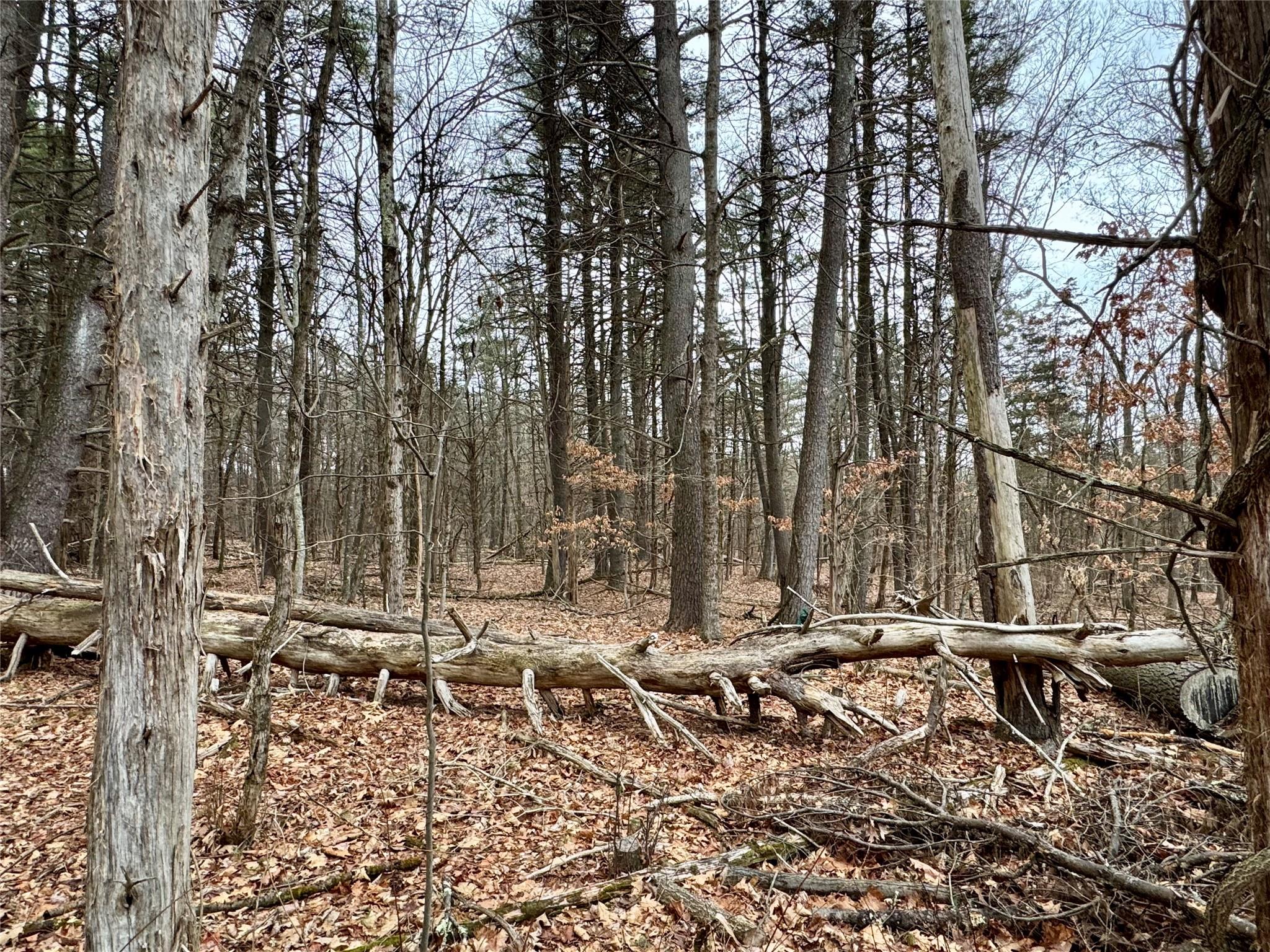 TBD Linderman Ave, Kingston, New York image 7