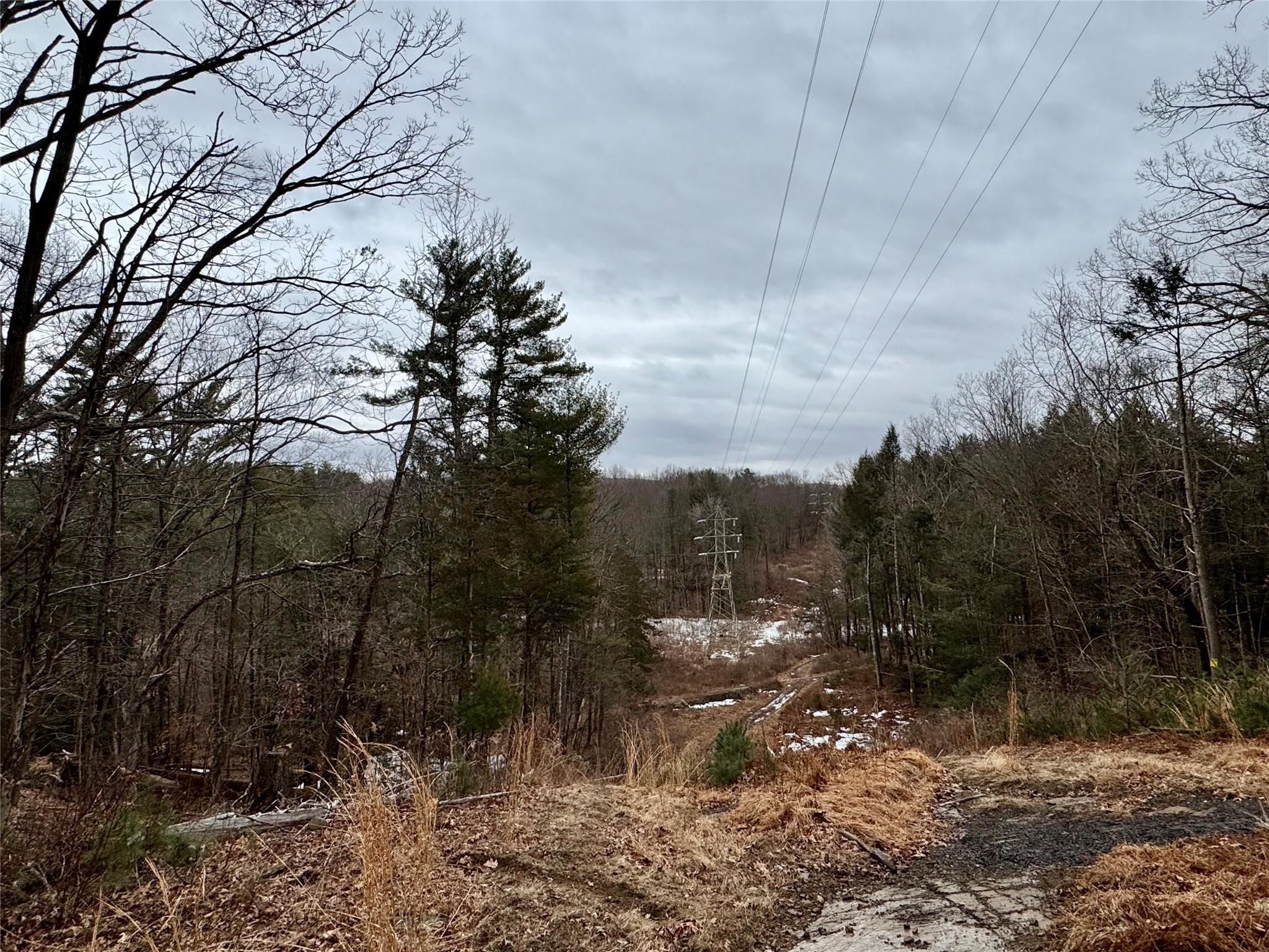 TBD Linderman Ave, Kingston, New York image 8