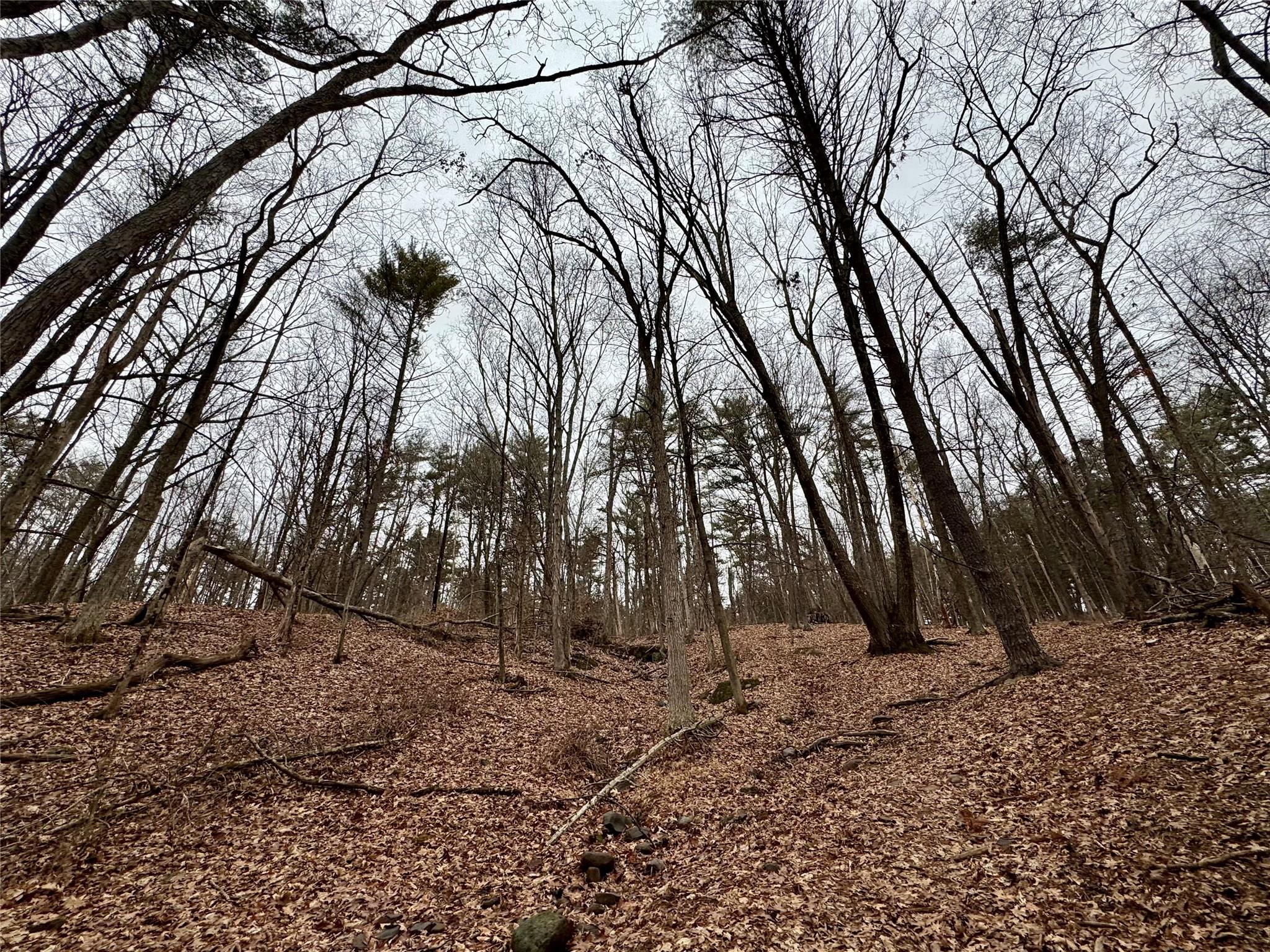 TBD Linderman Ave, Kingston, New York image 5
