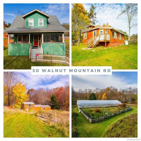 30 Walnut Mountain Road Liberty NY 12754