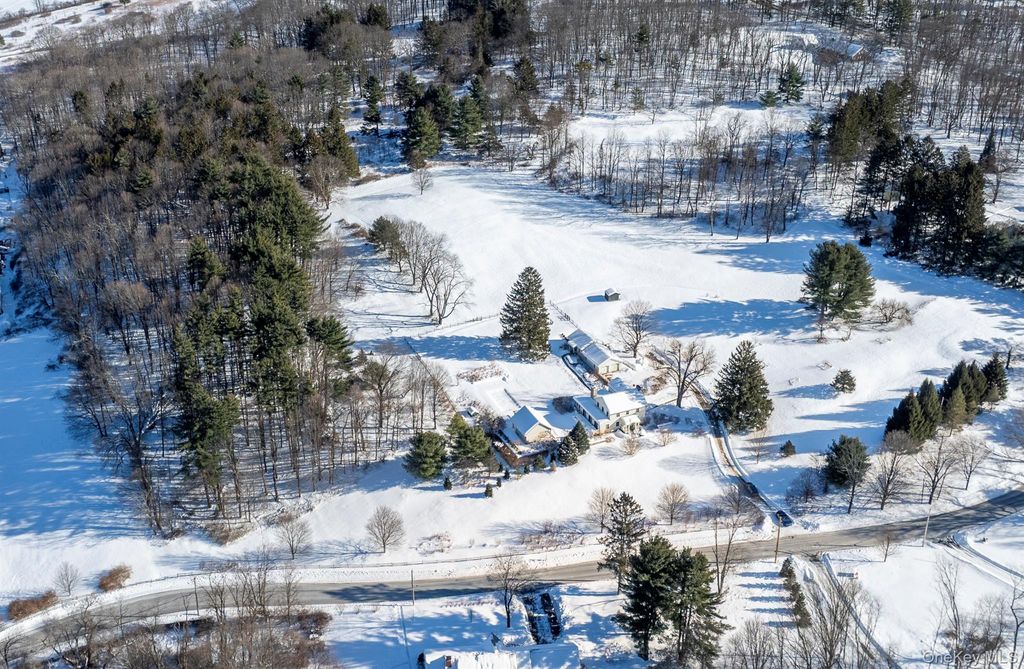 Photo of 188 Nine Partners Lane, Millbrook, NY 12545 (MLS # 961077)