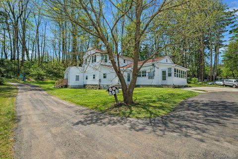 21 1/2 Nevins Street Ellenville NY 12428