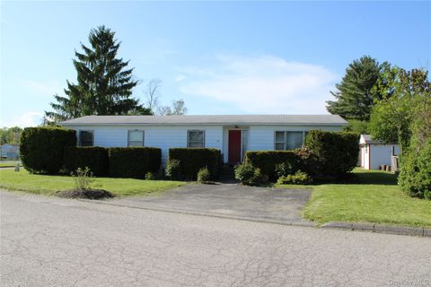 Mobile Home For Sale - 160 Holesapple Road #52<br/> Dover Plains, NY 12522