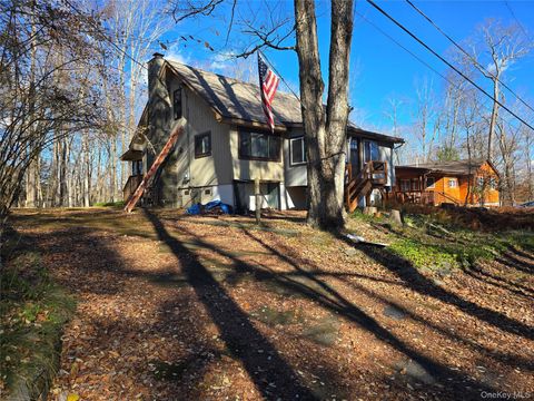 Homes For Sale - 45 W Adirondack Trail<br/> Smallwood, NY 12778