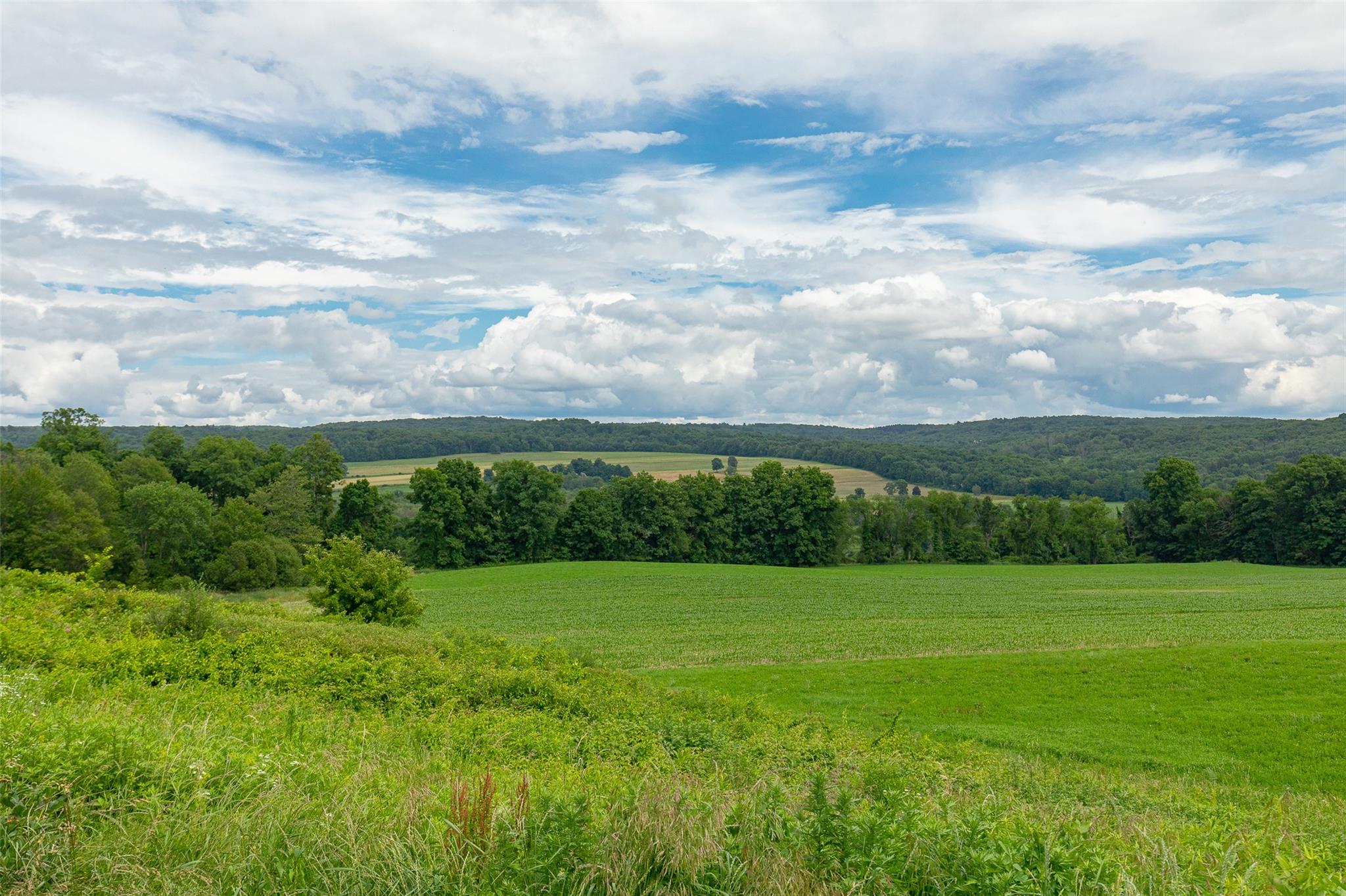3598 Route 82, Millbrook, New York image 42