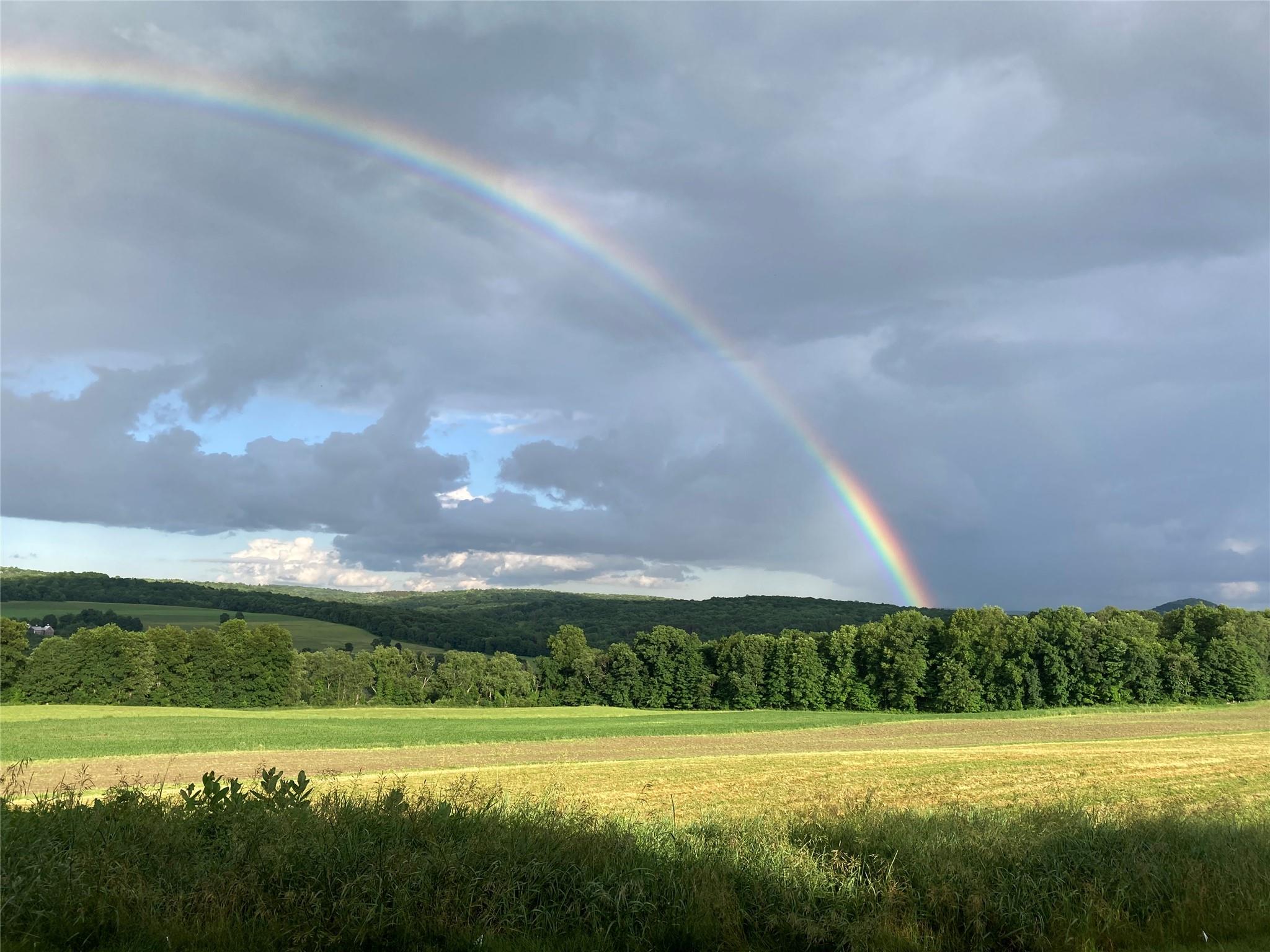3598 Route 82, Millbrook, New York image 50