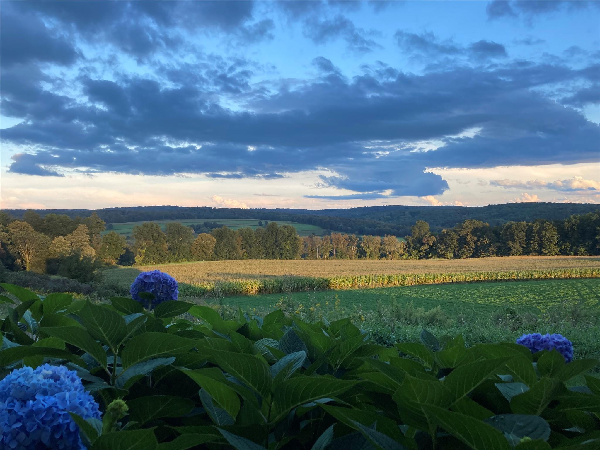 3598 Route 82, Millbrook, New York image 41