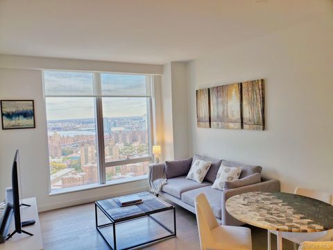 252 South Street 46j New York (Manhattan) NY 10002