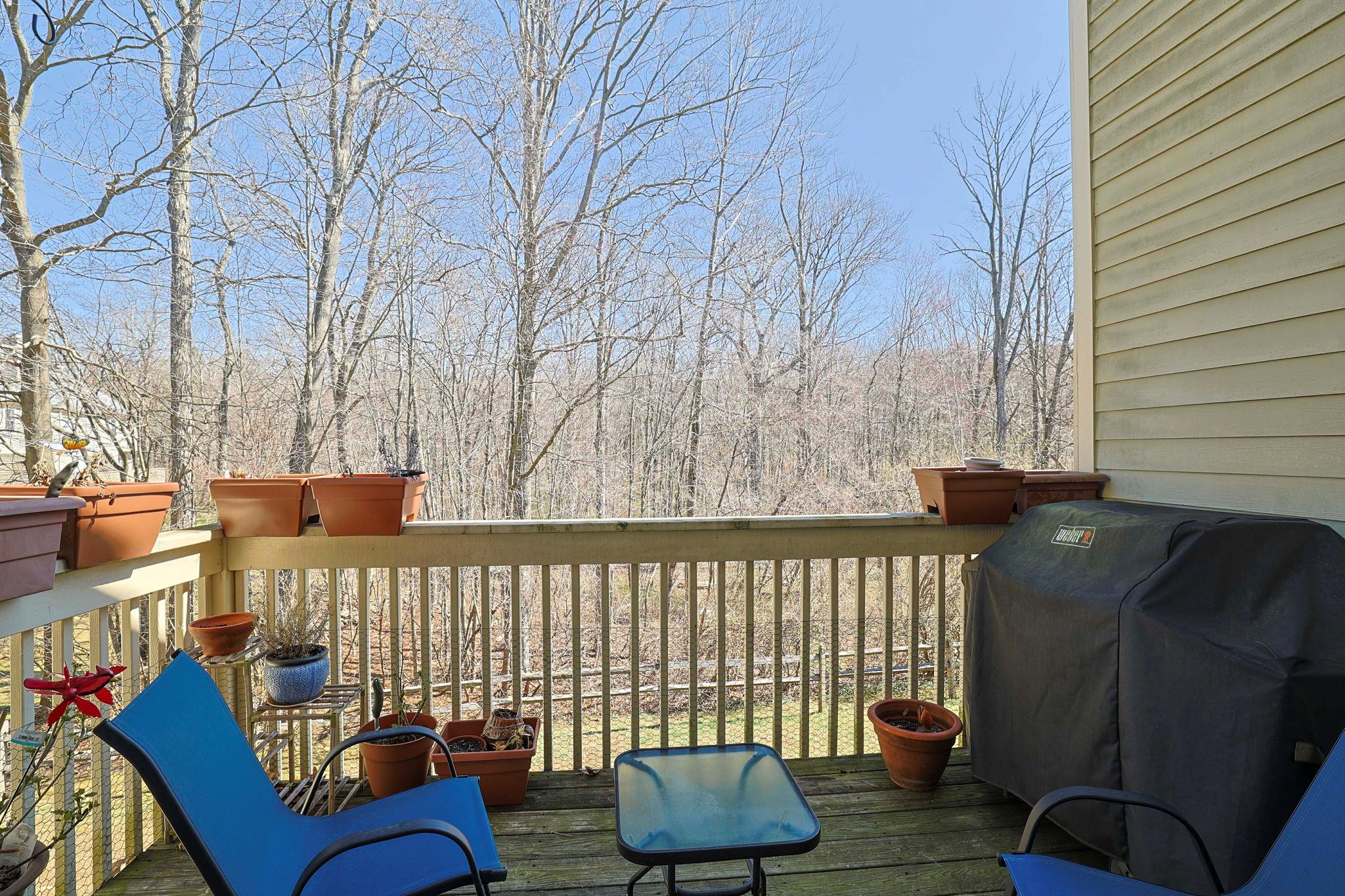 6102 Bayberry Court, Carmel, New York image 18