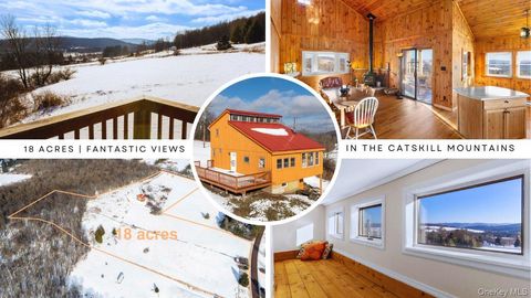 Homes For Sale - 161 Ridge Road<br/> Delaware County, Hamden, NY 13782