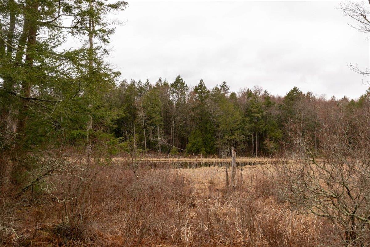 700 Sackett Lake Road, Monticello, New York image 23