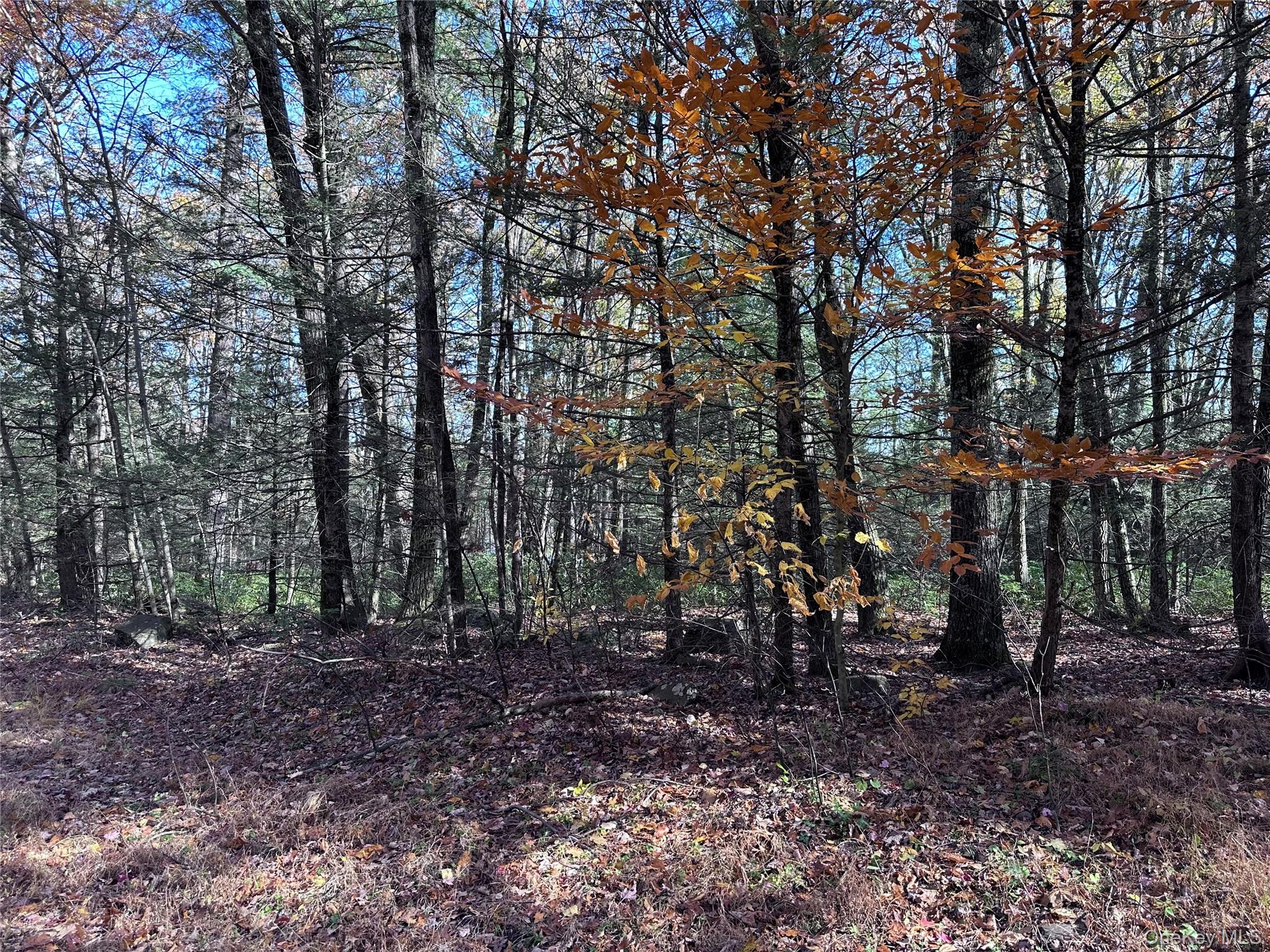 Lot 2 Upper Cherrytown Road