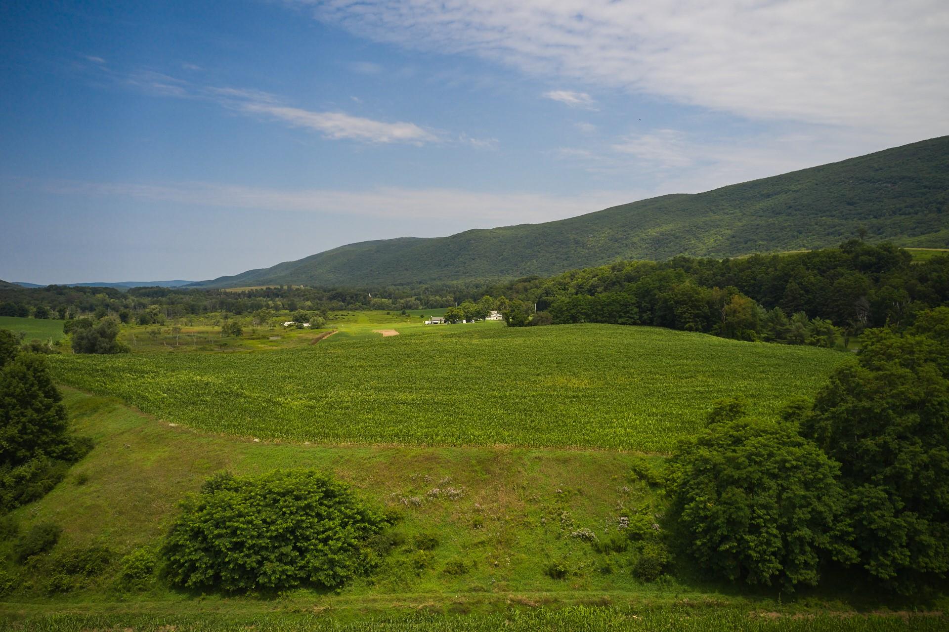 1885 W Boston Corners Road, Millerton, New York image 7