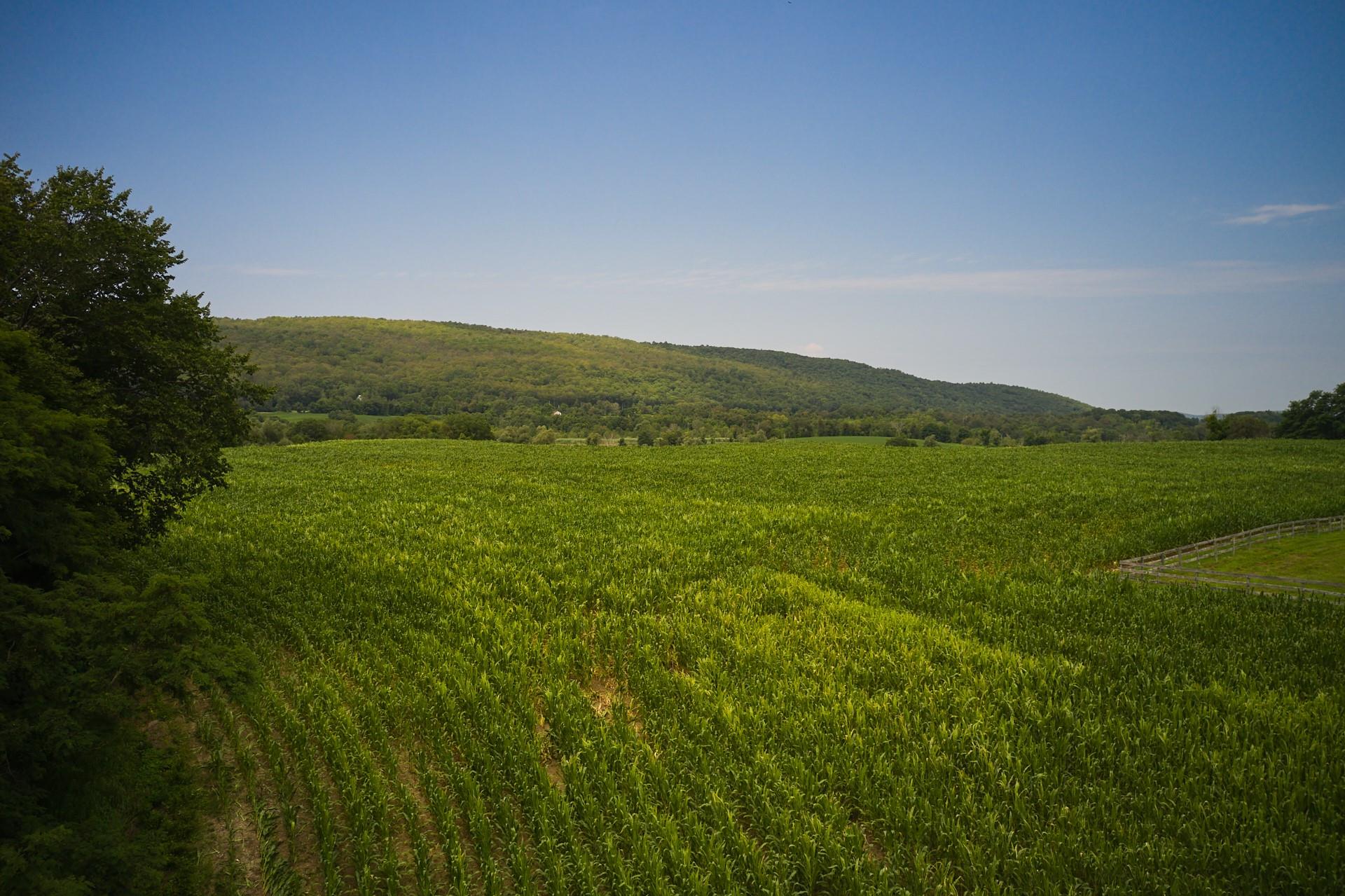 1885 W Boston Corners Road, Millerton, New York image 4