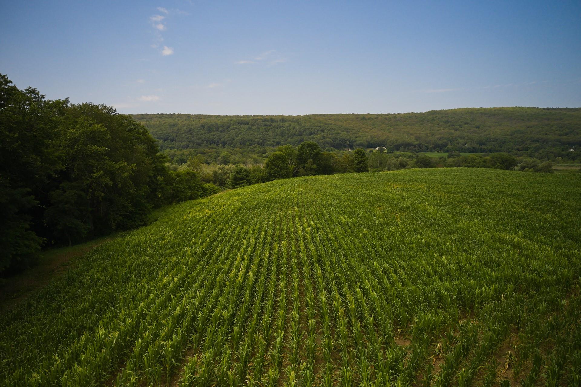 1885 W Boston Corners Road, Millerton, New York image 2