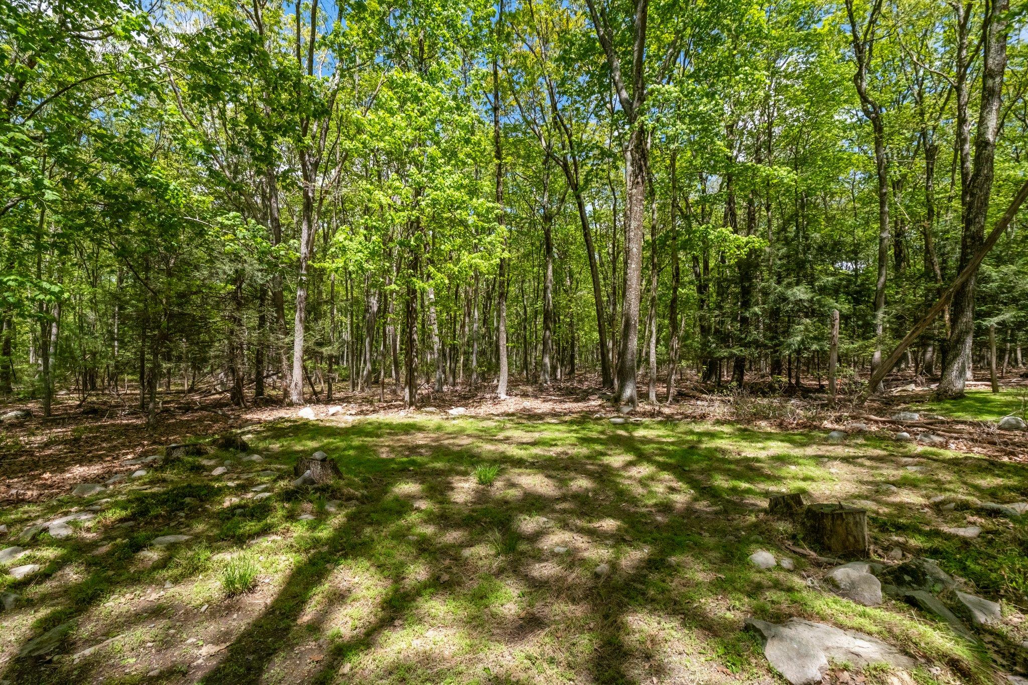 23 Canal Road, Wurtsboro, New York image 28