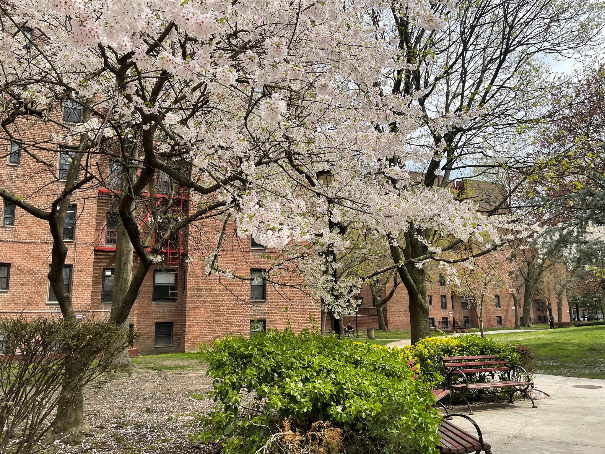 72 Road 6A, Flushing, Queens, NY - 2 Bedrooms  
1 Bathrooms  
4 Rooms - 