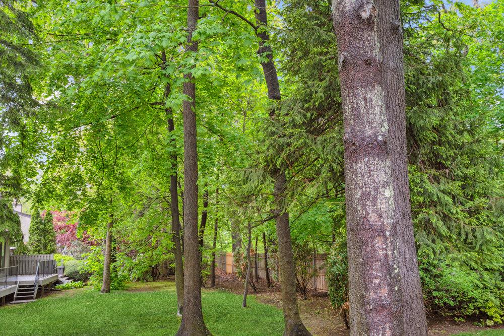 130 Golf View Drive, Jericho, New York image 39