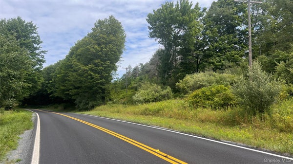 HORSESHOE LAKE RD, SWAN LAKE, NY 12783 - Image e5e2b19050a41c2d5bf18bc067a3b1e4/1237334414
