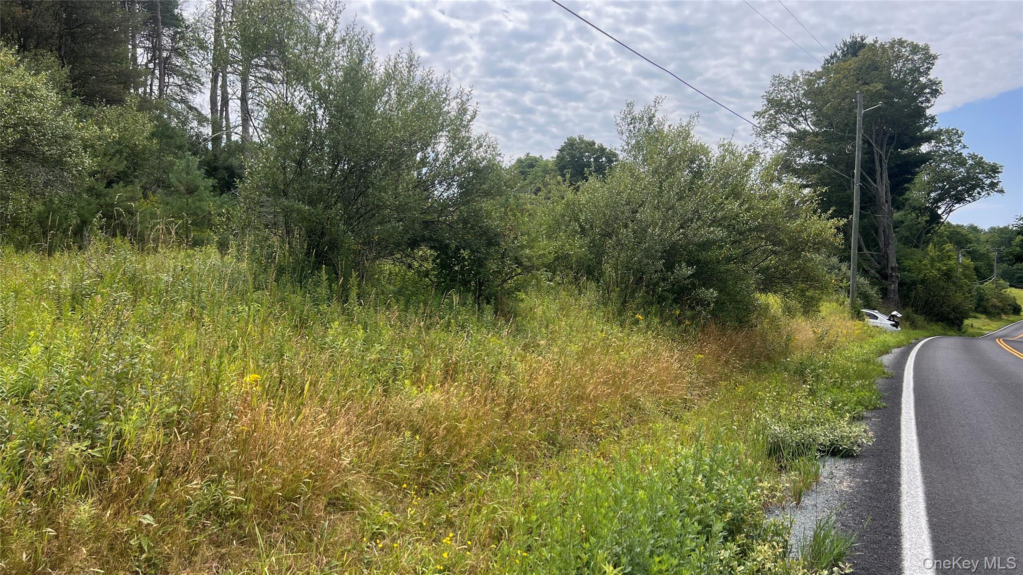 Horseshoe Lake Road
