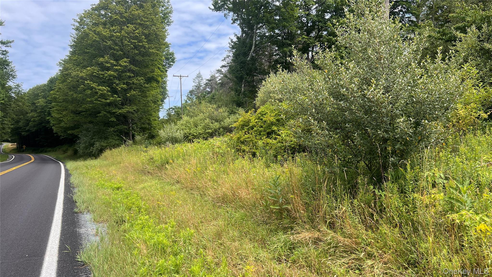 Horseshoe Lake Road