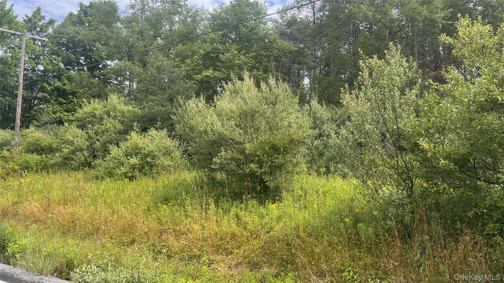 Horseshoe Lake Road