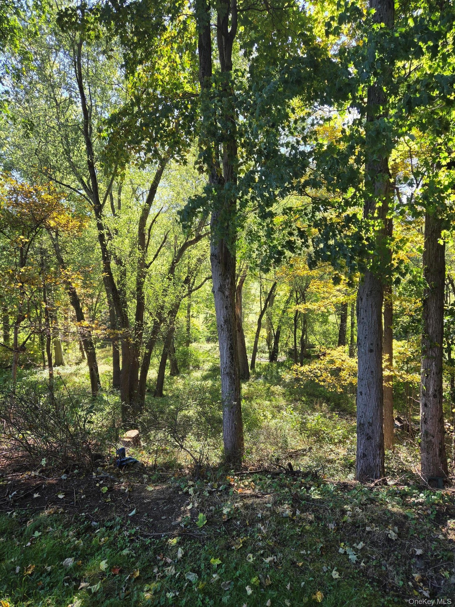 17 Nanuwitt Lane