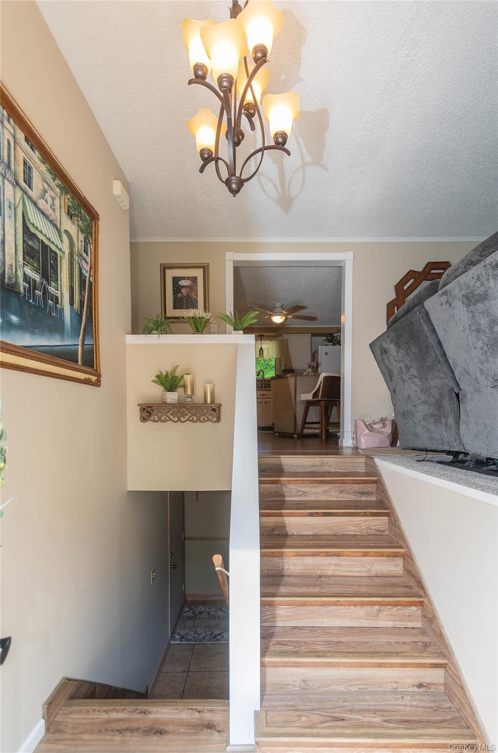 85 Bellevue Road