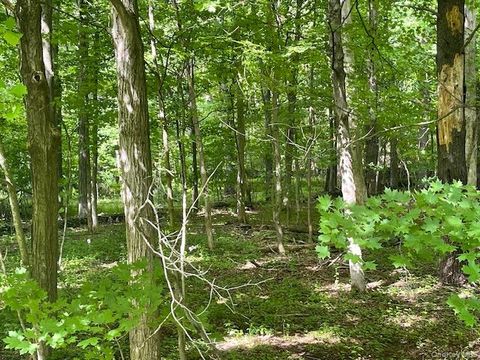 Vacant Land For Sale - Joel M Austin Road<br/> Cairo, NY 12413